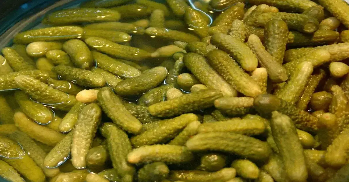 N&eacute; sale n&eacute; additivi chimici: in Germania il ghiaccio si combatte con l&rsquo;acqua dei cetriolini