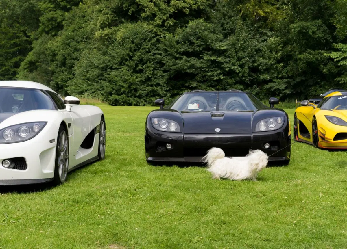 Koenigsegg: il primo raduno della storia del costruttore svedese [Video] (18)