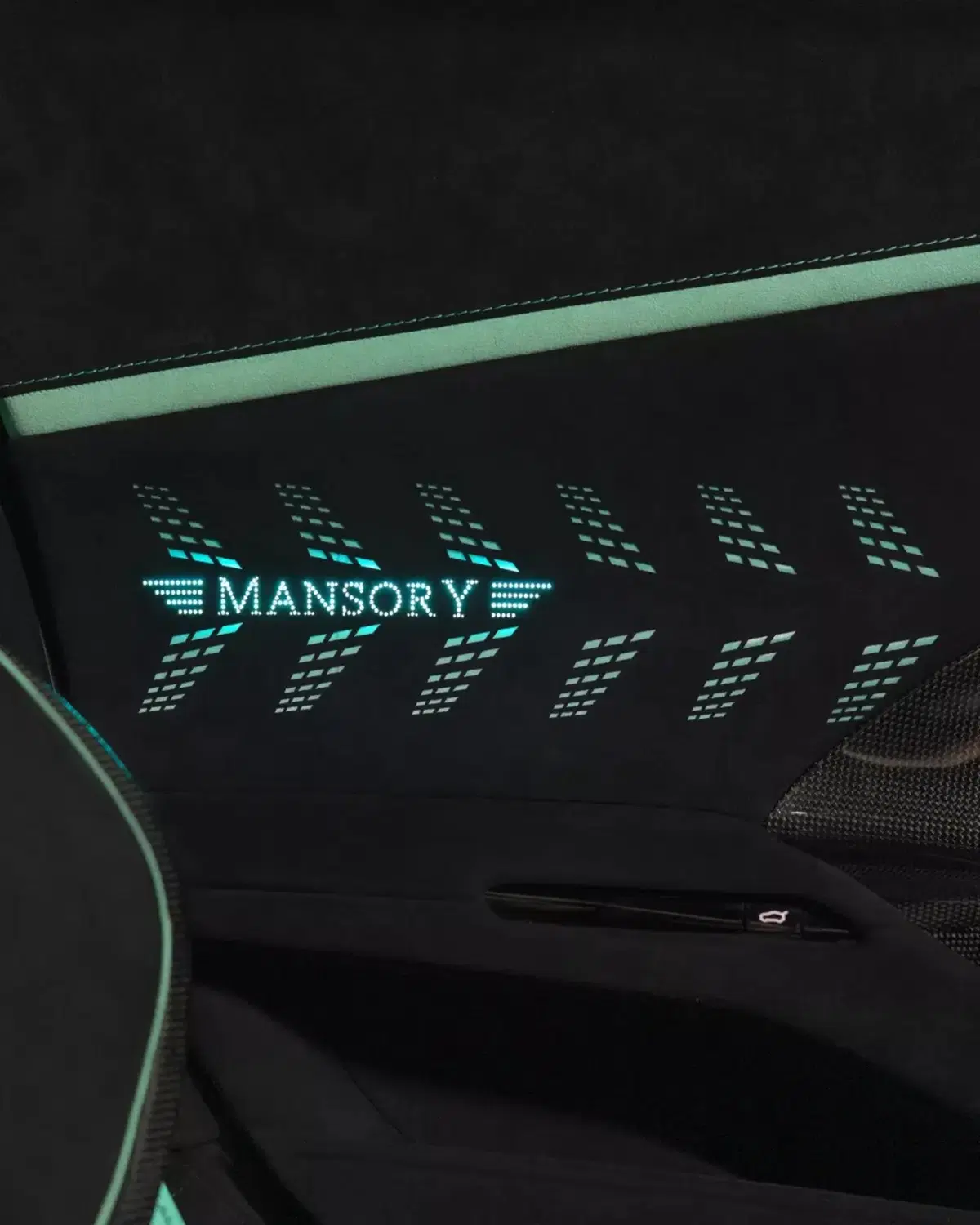 Mansory ha esagerato ancora? La Ferrari 12Cilindri diventa Equestre (8)