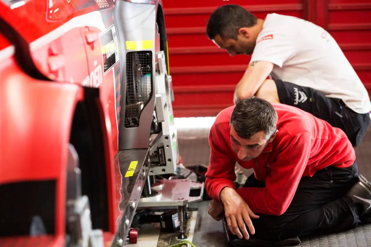 WTCC 2016, qualifiche Argentina:  (21)