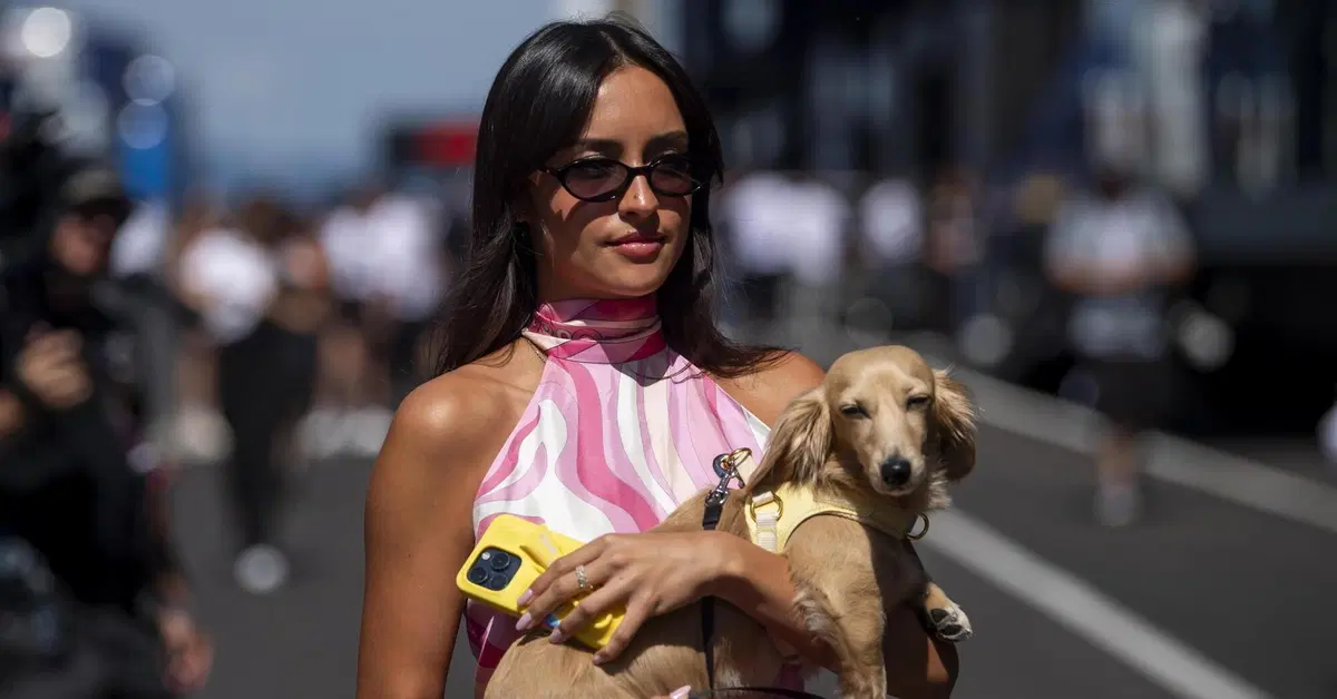 Charles Leclerc sposo, le rotture di Norris e Antonelli, Hamilton con Kim Kardashian: ecco chi sono le fidanzate e mogli dei piloti F1 2026