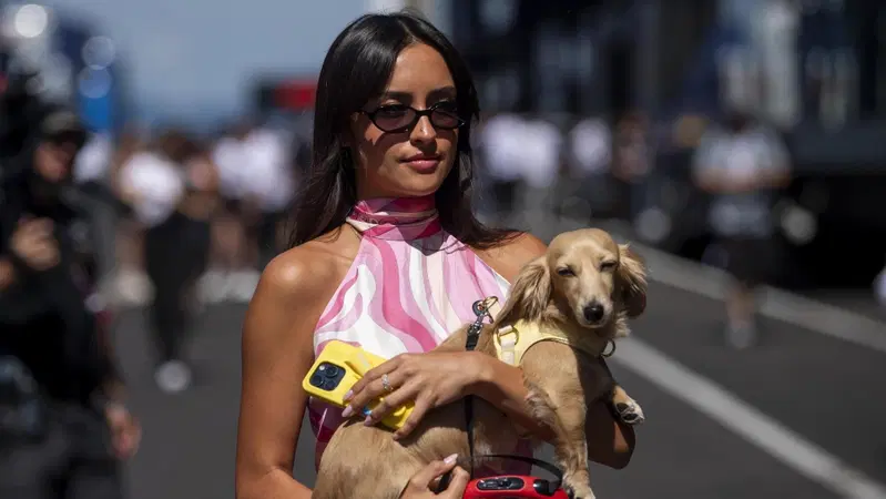 Charles Leclerc sposo, le rotture di Norris e Antonelli, Hamilton con Kim Kardashian: ecco chi sono le fidanzate e mogli dei piloti F1 2026