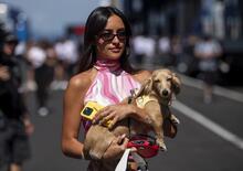 Charles Leclerc sposo, le rotture di Norris e Antonelli, Hamilton con Kim Kardashian: ecco chi sono le fidanzate e mogli dei piloti F1 2026