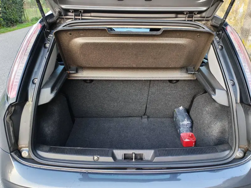 Fiat Punto usata a Verona (8)