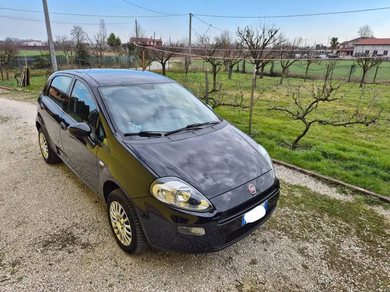Fiat Punto usata a Padova