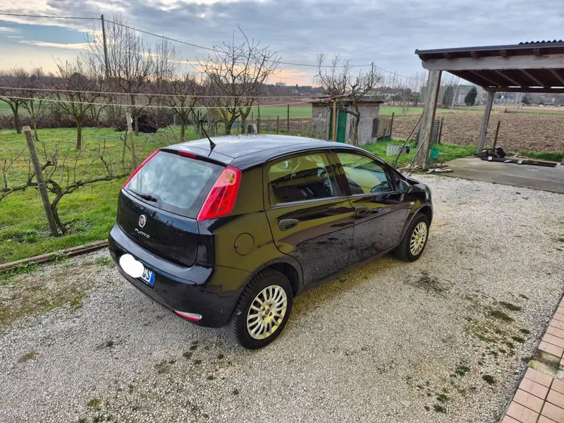 Fiat Punto usata a Padova (5)