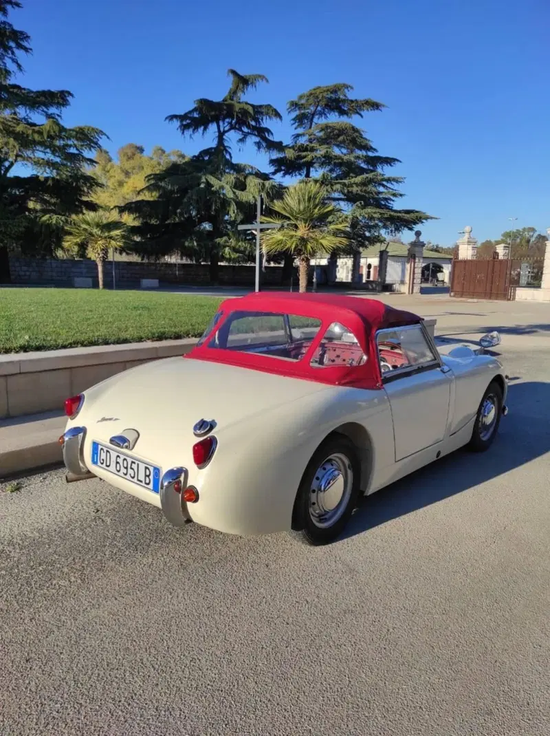 Austin Healey Sprite mk1 d'epoca a Foggia (6)