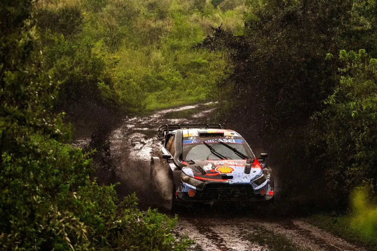 WRC26 #03 Kenya. D1. Solberg prova a sbancare, come al Monte-Carlo [VIDEO] (4)