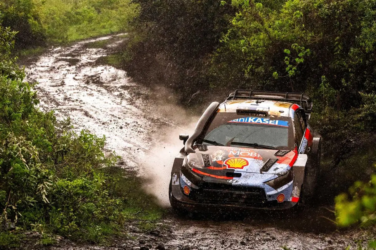 WRC26 #03 Kenya. D1. Solberg prova a sbancare, come al Monte-Carlo [VIDEO] (5)