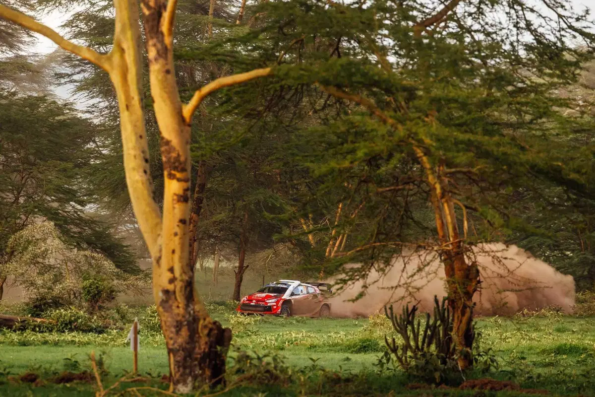 WRC26 #03 Kenya. D1. Solberg prova a sbancare, come al Monte-Carlo [VIDEO] (13)