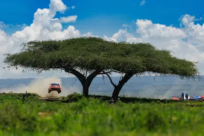 WRC26 #03 Kenya. D2. La rimonta bestiale di S&eacute;bastien Ogier [VIDEO]