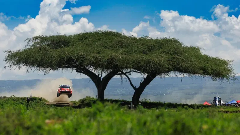WRC26 #03 Kenya. D2. La rimonta bestiale di S&eacute;bastien Ogier [VIDEO]
