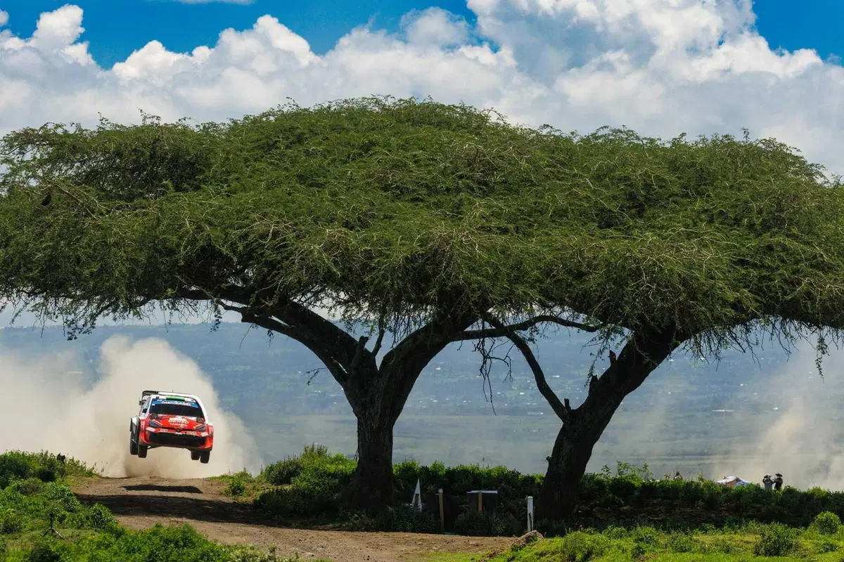 WRC26 #03 Kenya. D2. La rimonta bestiale di Sébastien Ogier [VIDEO] (5)