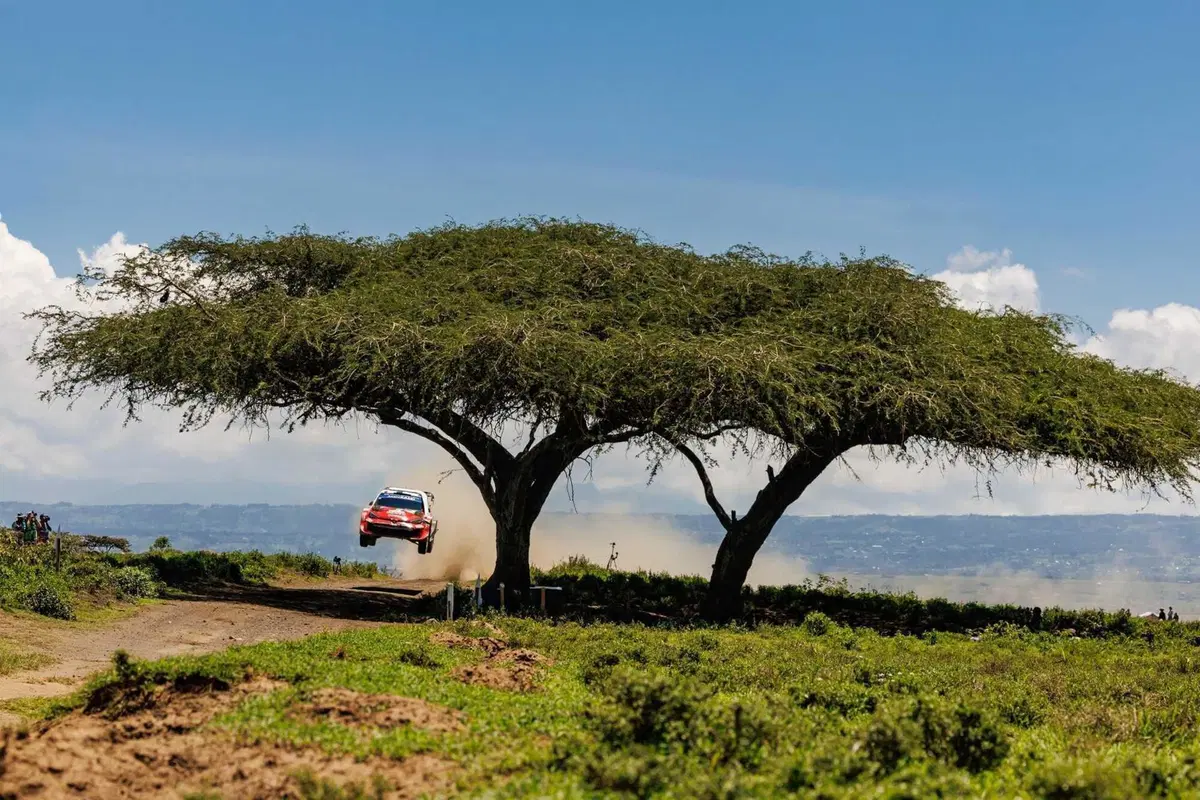 WRC26 #03 Kenya. D2. La rimonta bestiale di Sébastien Ogier [VIDEO] (14)