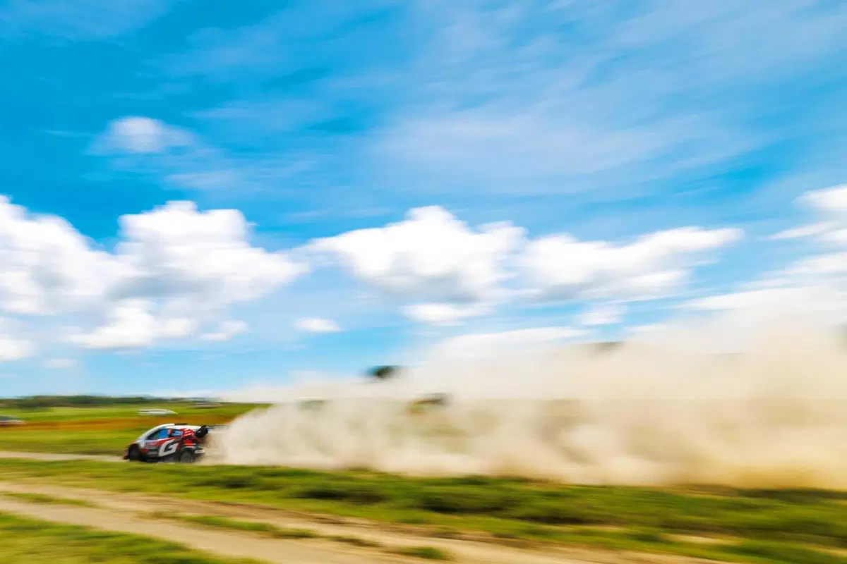 WRC26 #03 Kenya. D2. La rimonta bestiale di Sébastien Ogier [VIDEO] (15)
