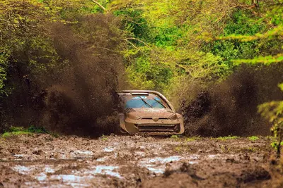 WRC26 #03 Kenya. D3. Raffica brutale di colpi di scena. Solberg e Ogier KO, Katsuta al comando [VIDEO]