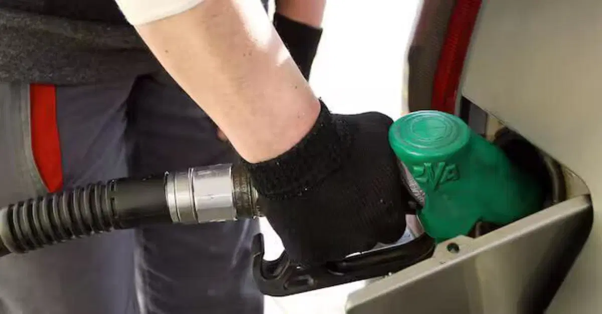 Maxi frode sulle accise dei carburanti: la Guardia di Finanza scopre un sistema illegale da 400mila litri di gasolio