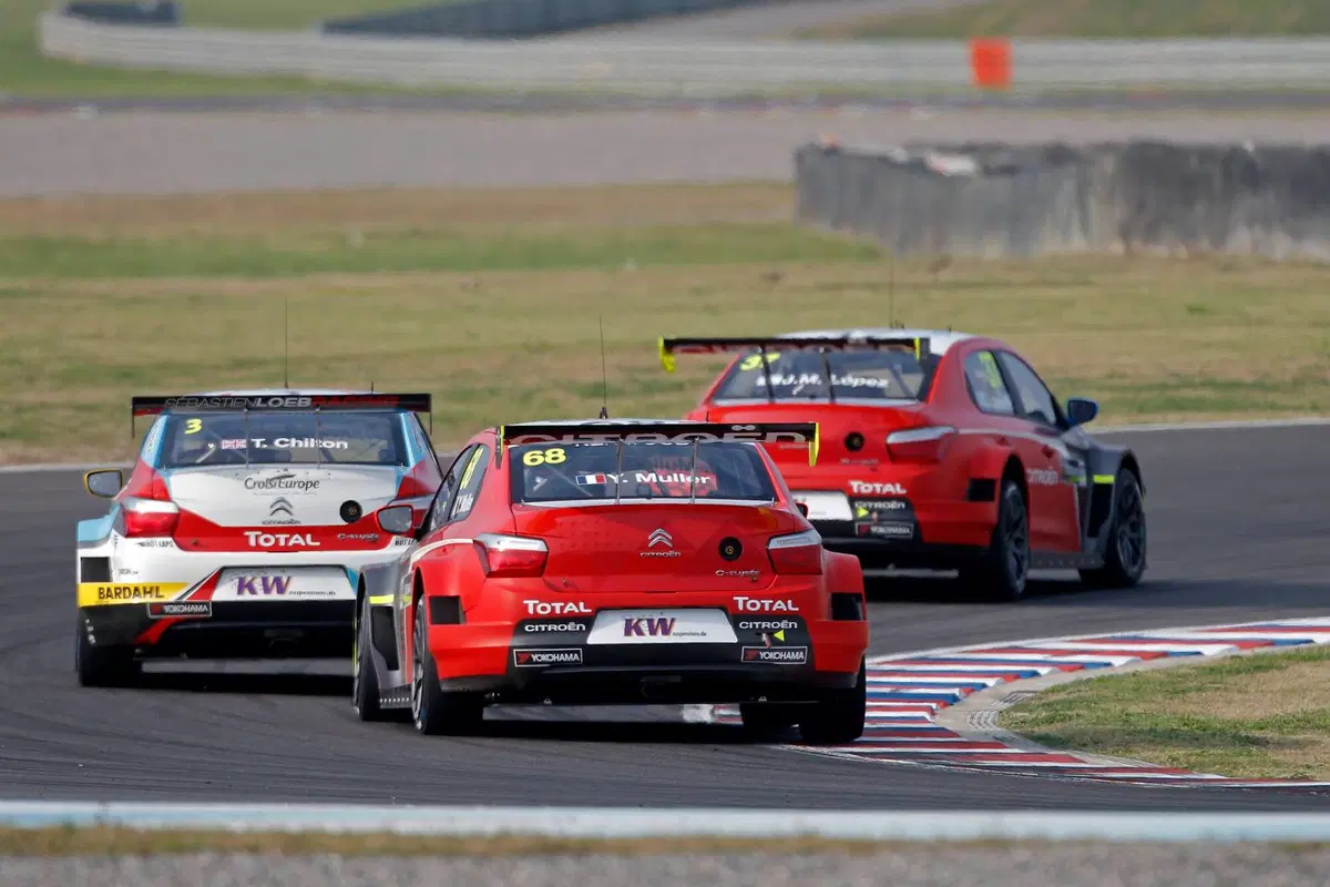 WTCC 2016, Argentina, Main Race: (11)