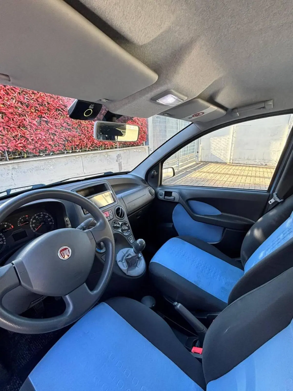 Fiat Panda usata a Monza e Brianza (16)