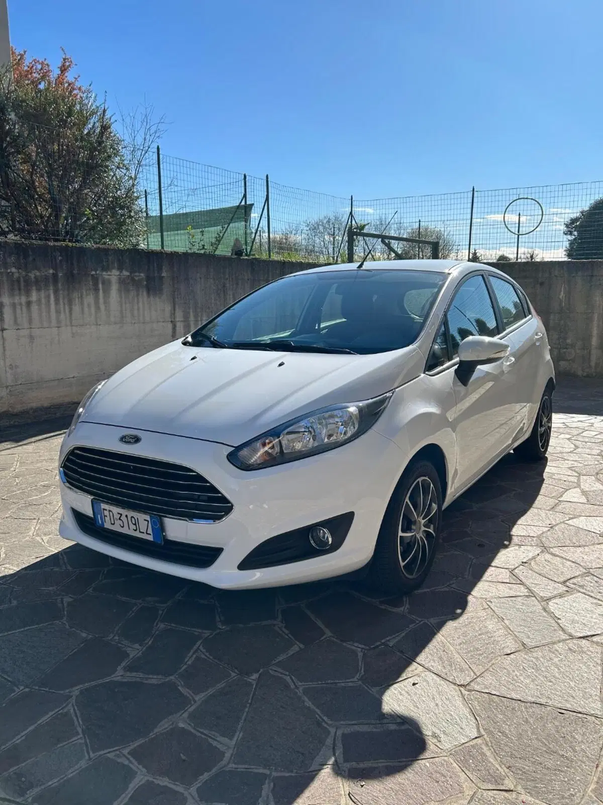 Ford Fiesta usata a Monza e Brianza