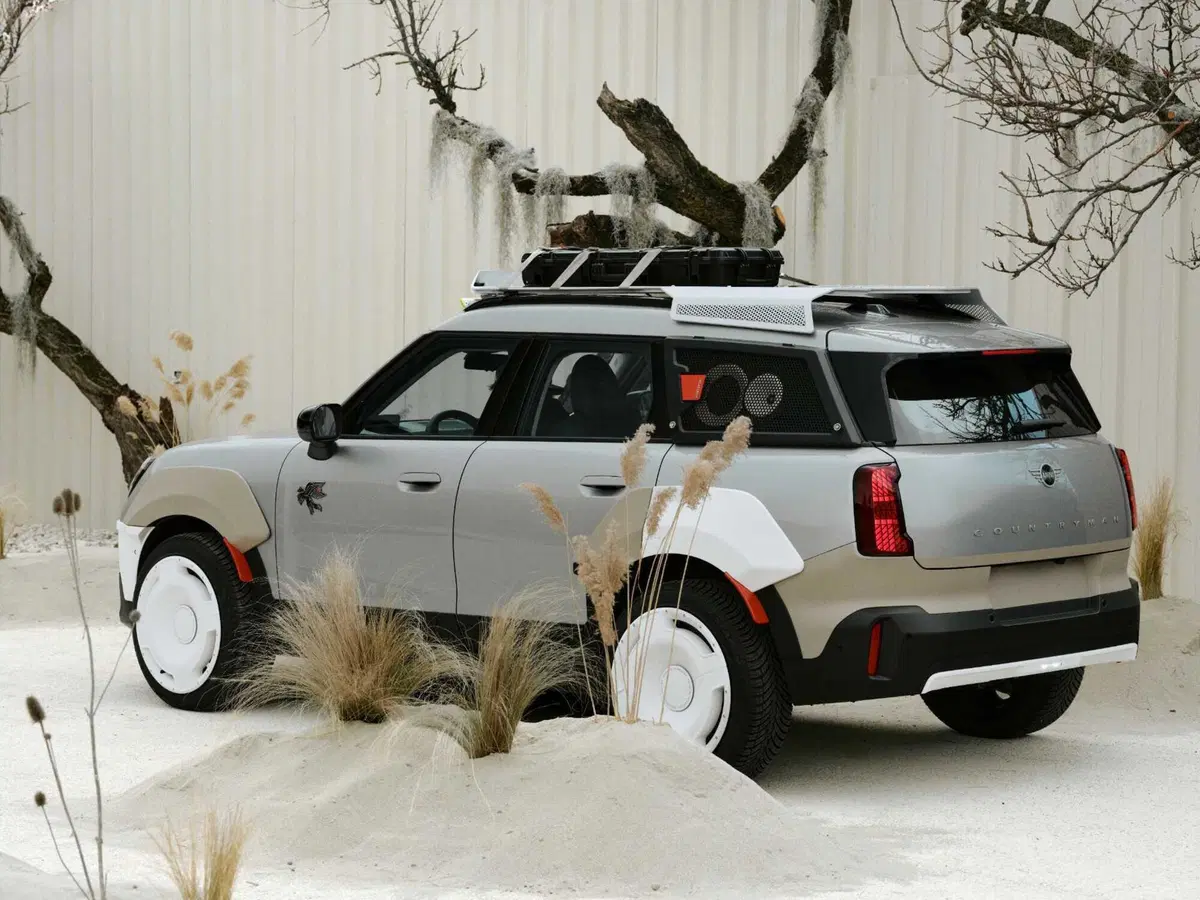 MINI X Vagabund (7)