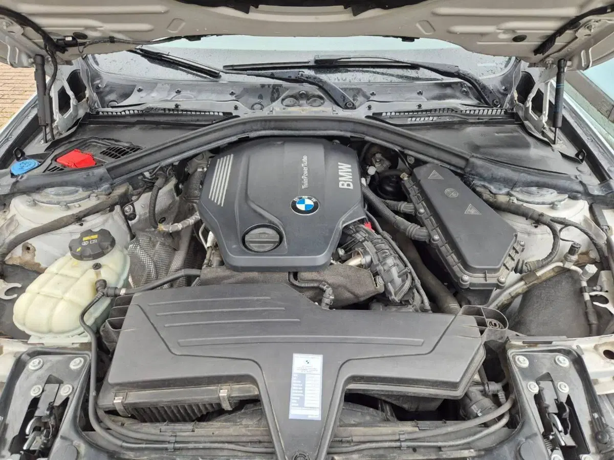 BMW Serie 3 usata a Siena (8)