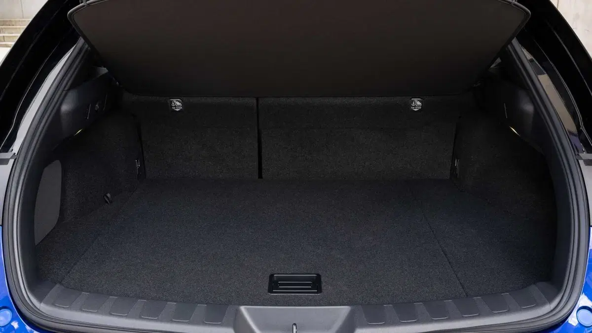Lexus UX 300e 72,8kWh Luxury (14)