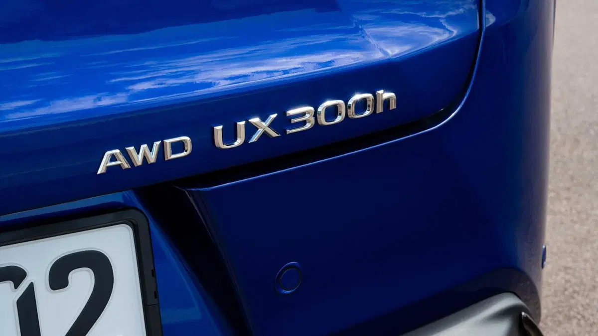 Lexus UX 300e 72,8kWh Luxury (19)