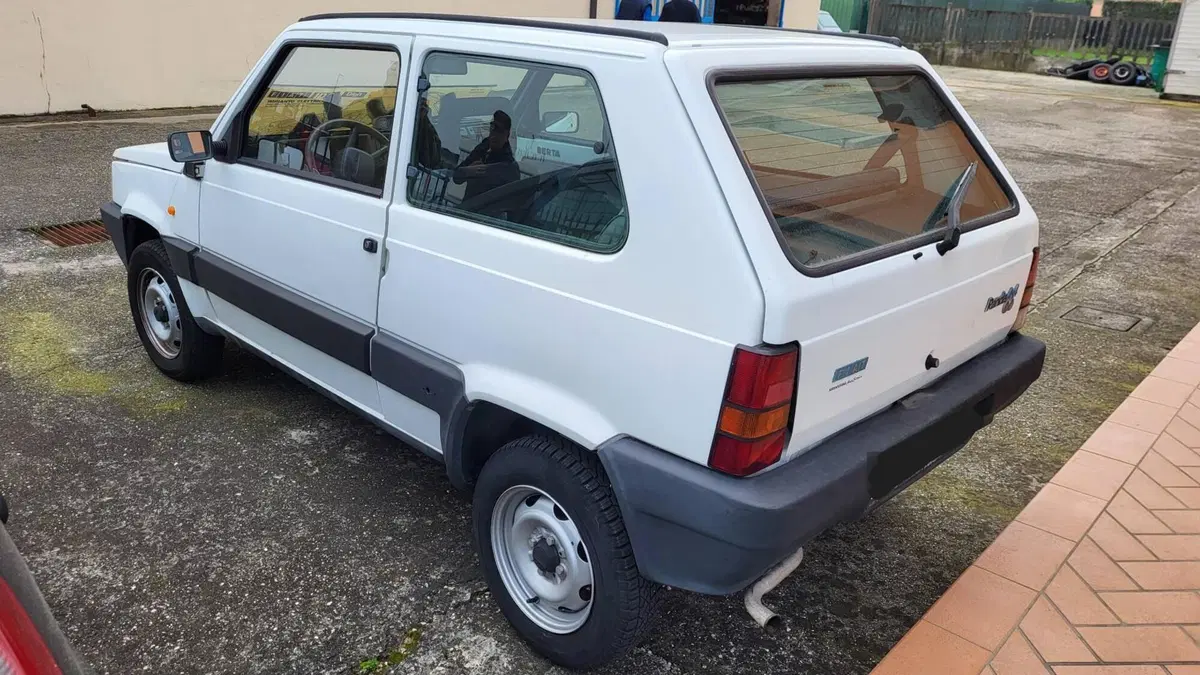 Fiat Panda usata a Padova (2)