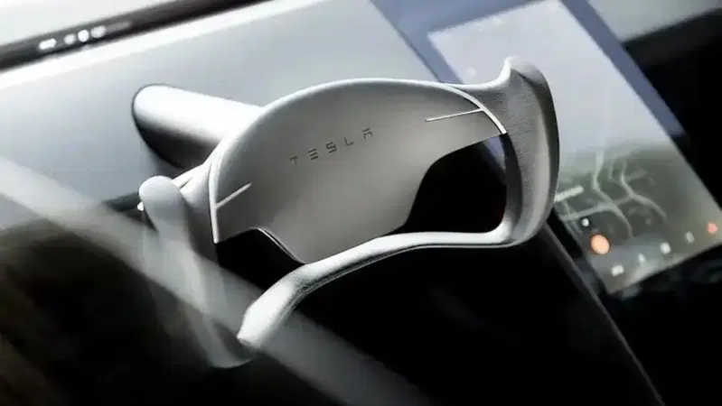 Volante della Tesla Roadster