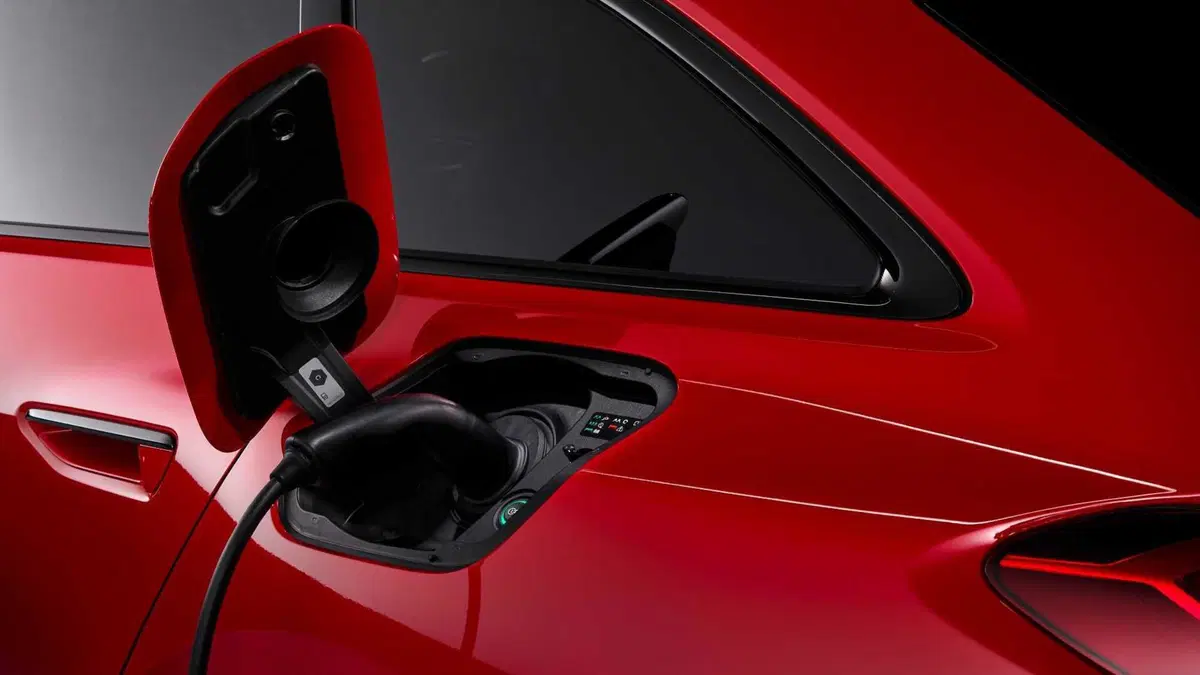 Audi RS 5 Avant (2026-->>) (19)
