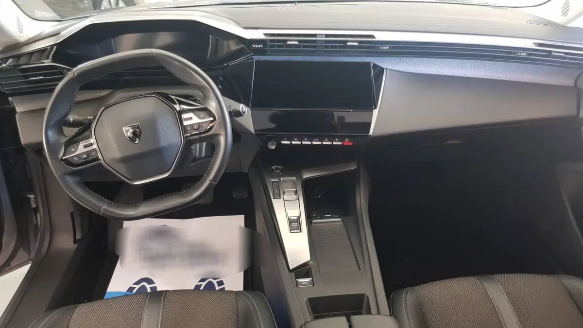 Peugeot 308 SW usata a Barletta-Andria-Trani (3)