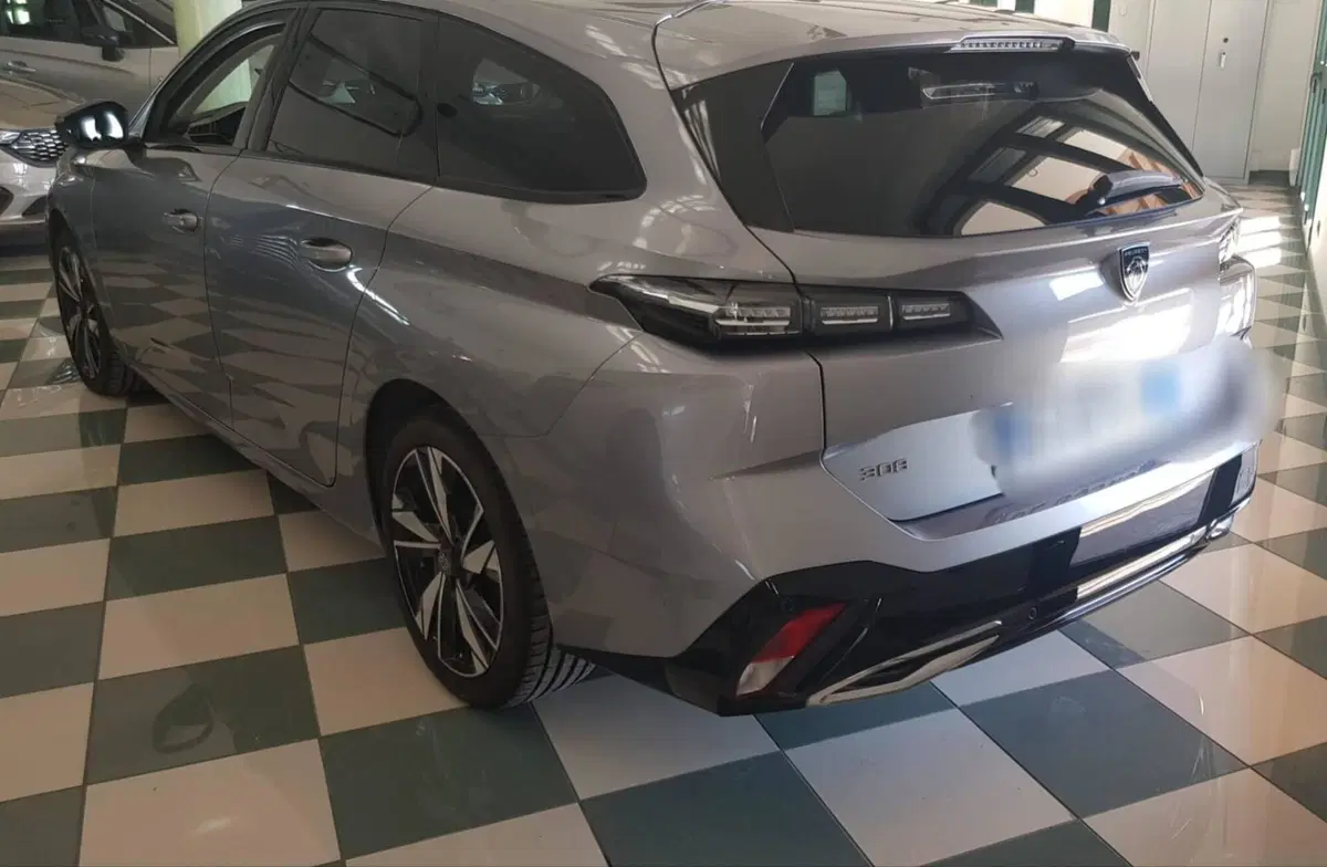 Peugeot 308 SW usata a Barletta-Andria-Trani (7)