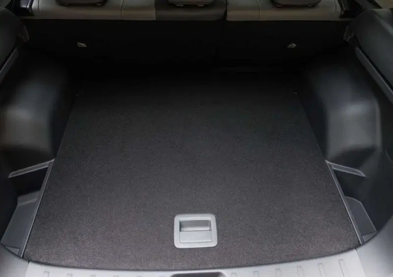 Dongfeng Huge  (19)