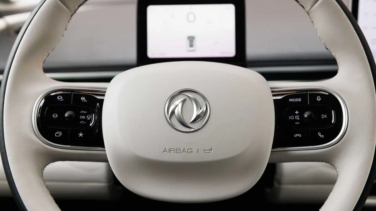 Dongfeng Box  (2024-->>) (15)