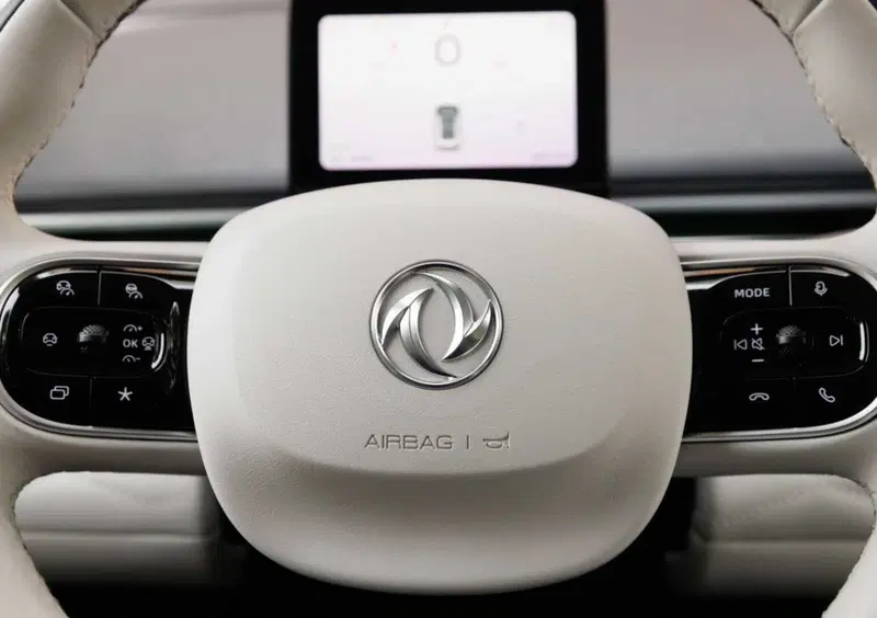 Dongfeng Box  (2024-->>) (15)