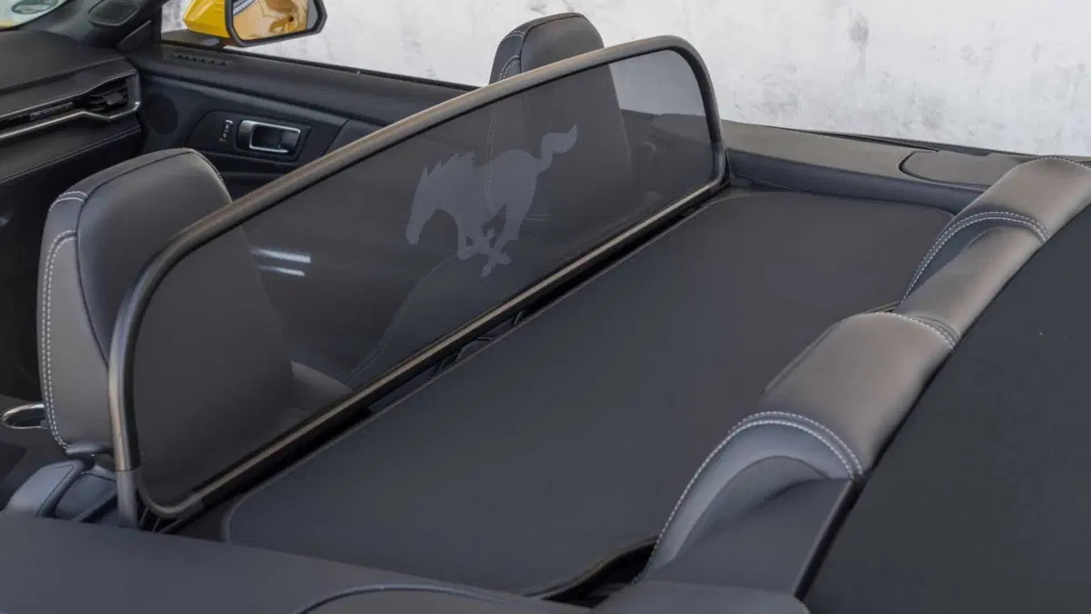 Ford Mustang Cabrio (14)