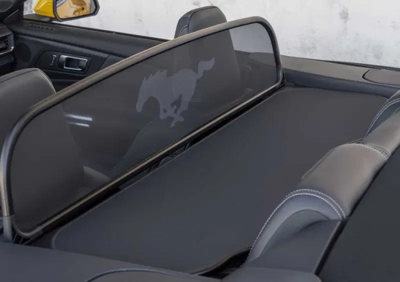 Ford Mustang Cabrio (14)