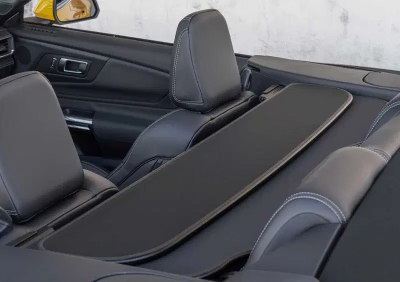 Ford Mustang Cabrio (13)