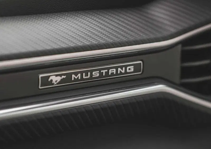 Ford Mustang Cabrio (20)