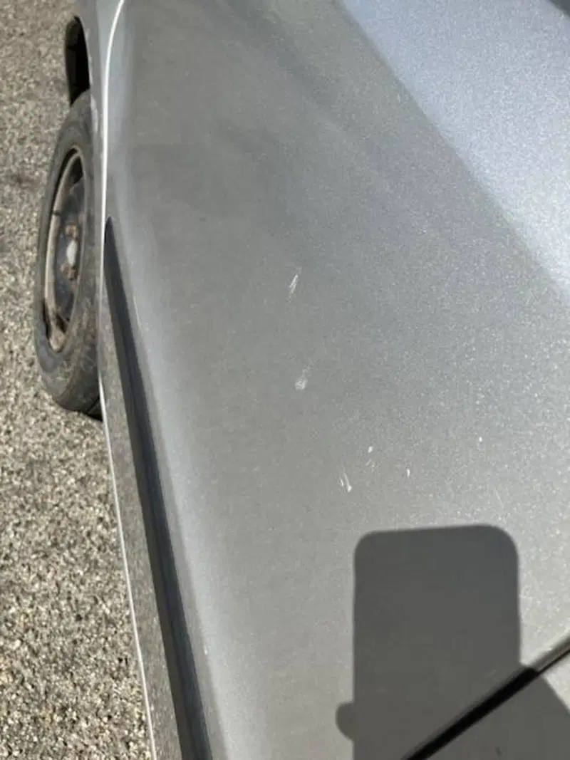 Fiat Panda usata a Pavia (6)