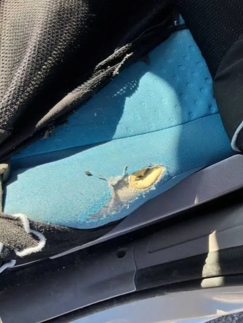 Fiat Panda usata a Pavia (7)