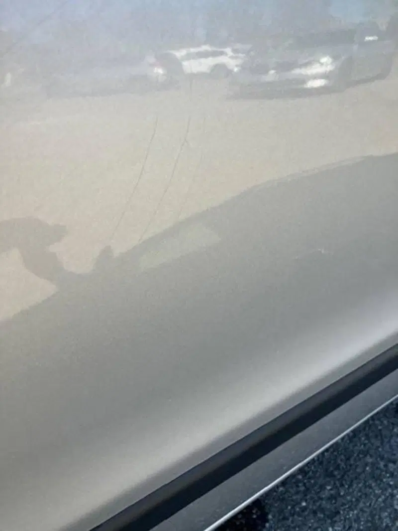 Fiat Panda usata a Pavia (16)