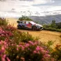 WRC26 #06 Portogallo. Vittoria-con-significato di Thierry Neuville e di Hyundai [VIDEO]