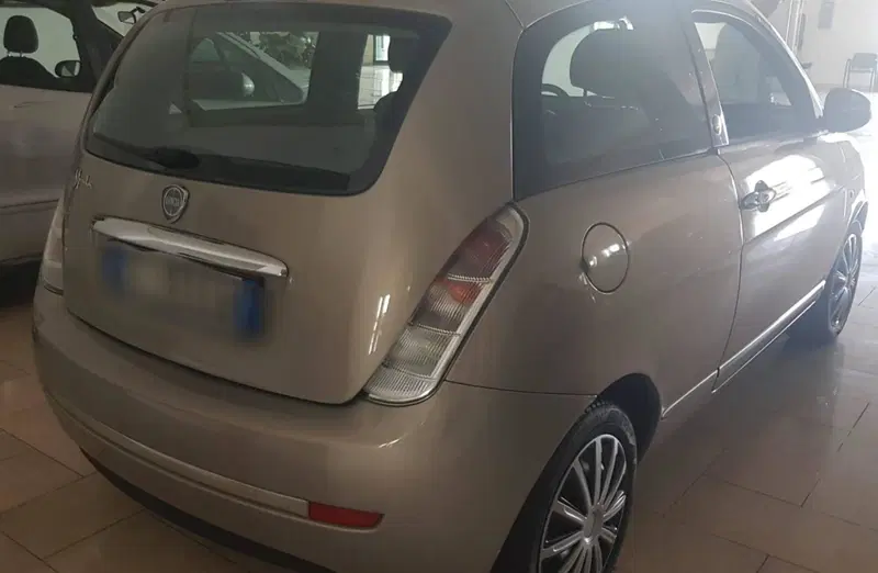 Lancia Ypsilon usata a Barletta-Andria-Trani (5)