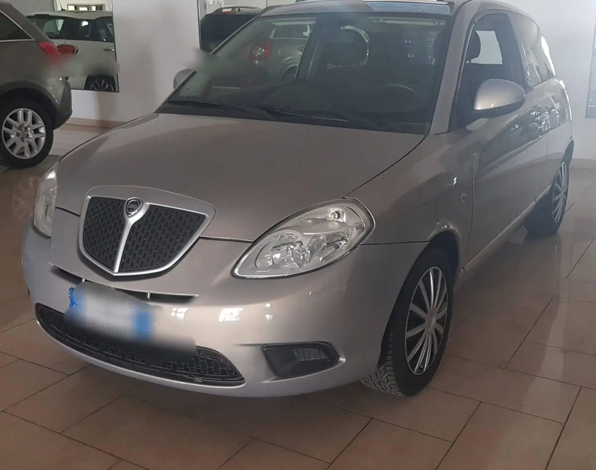 Lancia Ypsilon usata a Barletta-Andria-Trani (4)