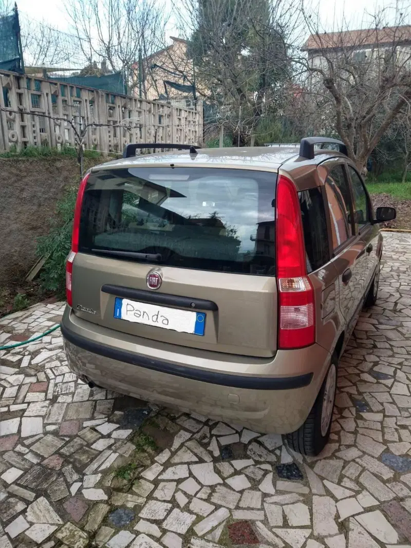 Fiat Panda usata a Ancona (3)