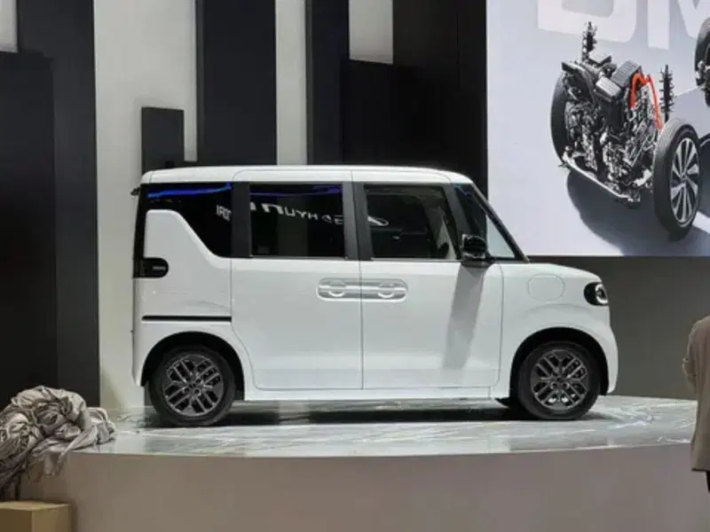BYD Racco