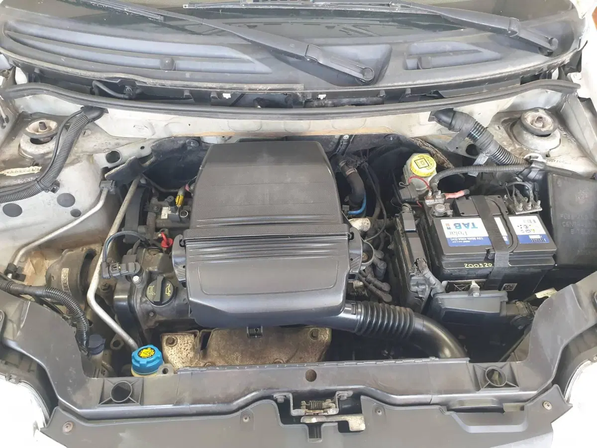 Fiat Panda usata a Torino (13)