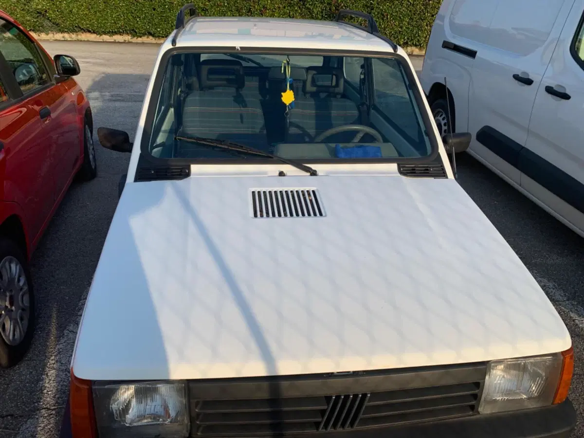 Fiat Panda usata a Padova